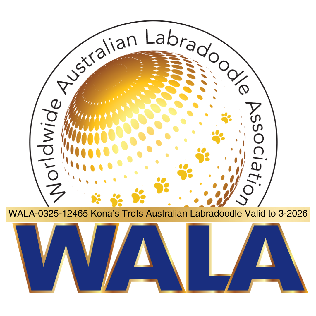 wala logo
